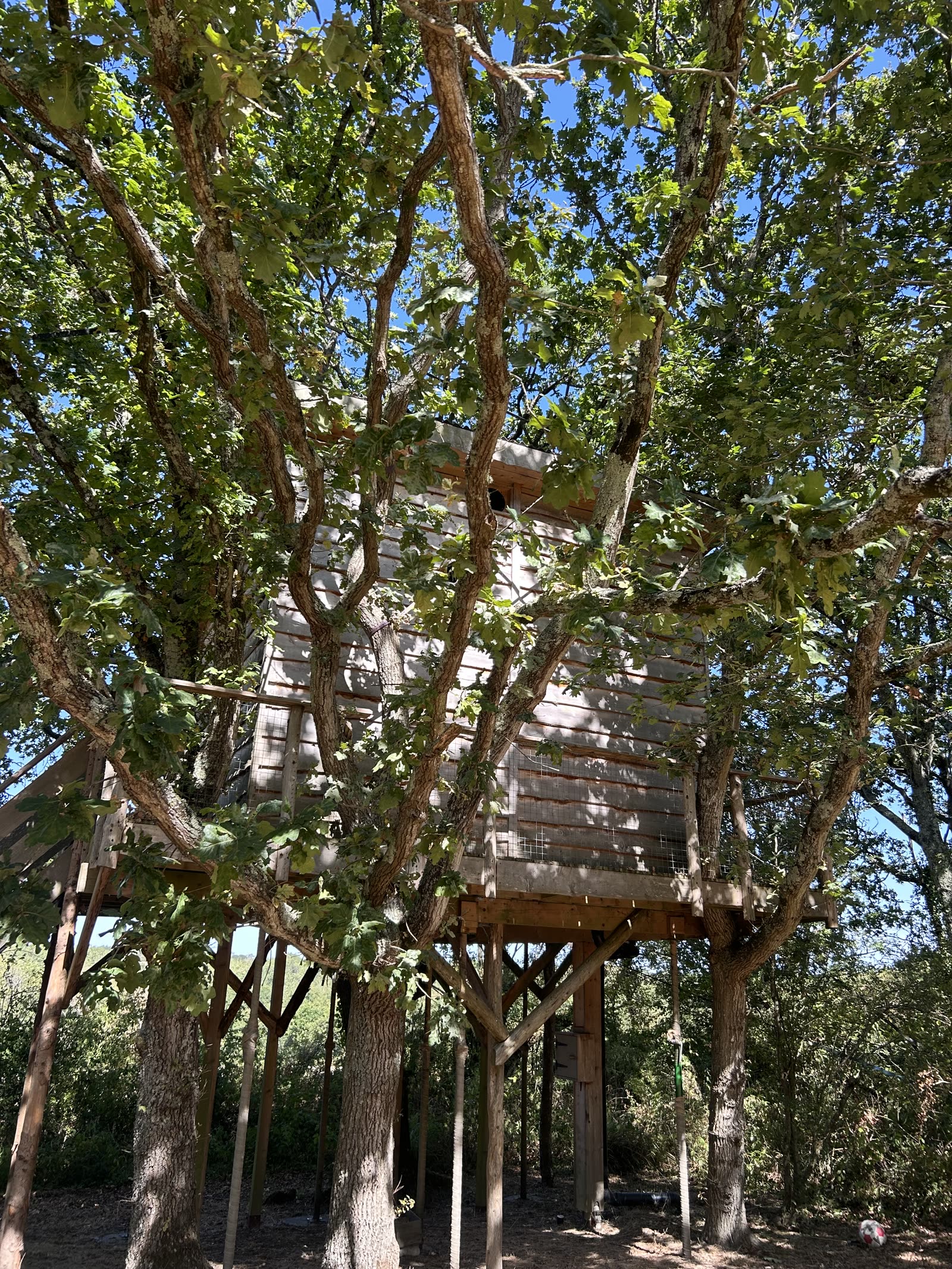The Nest Treehouse — photo 25