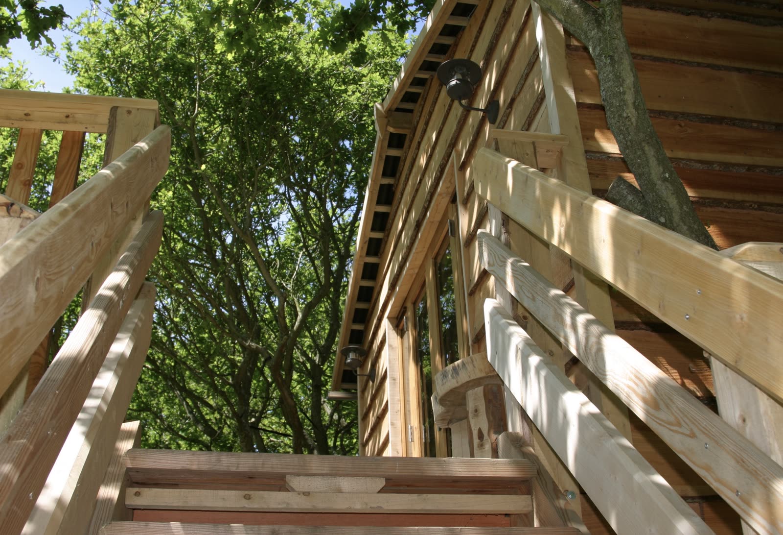 The Roost Treehouse — photo 6