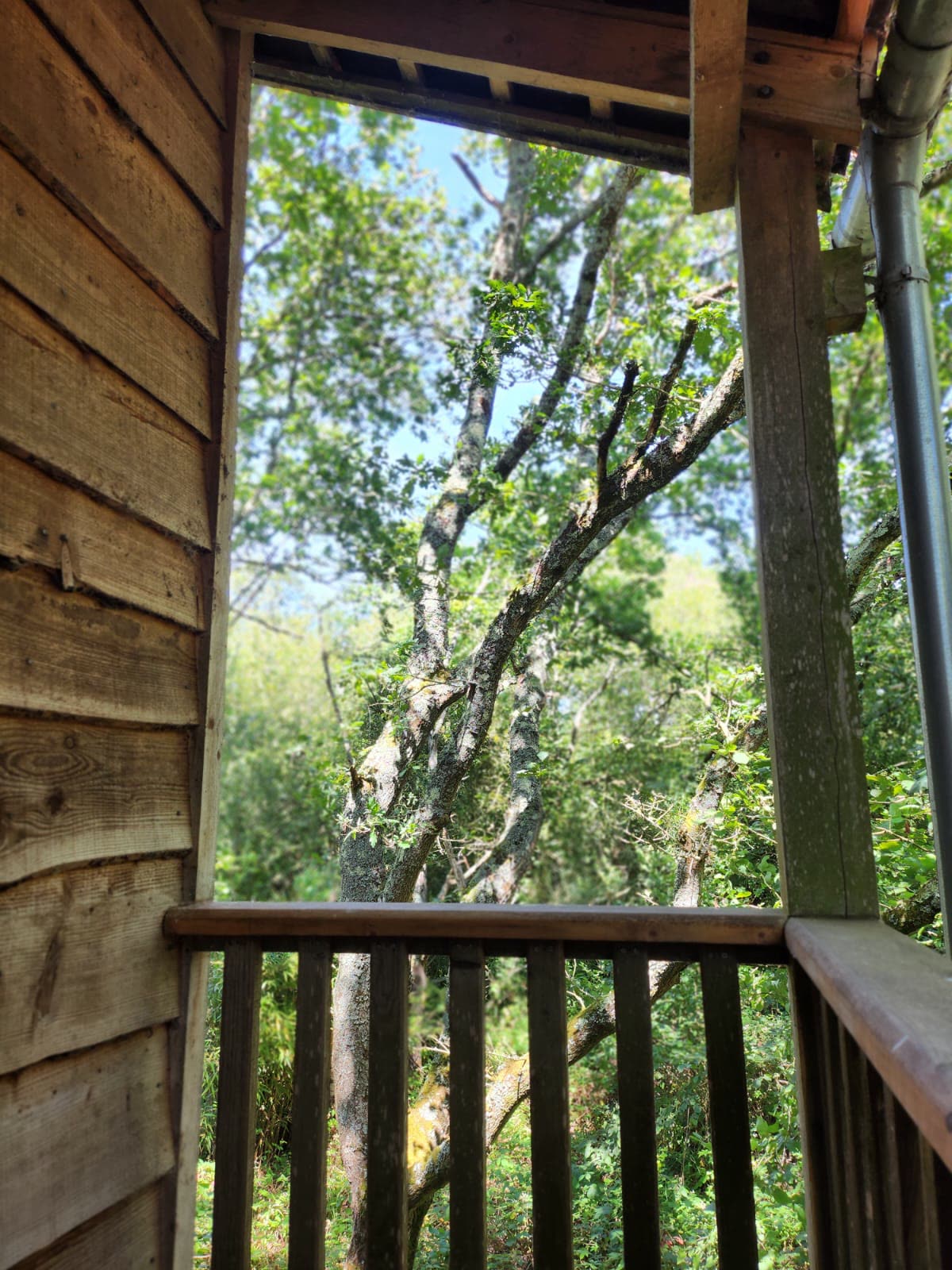 The Roost Treehouse — photo 28