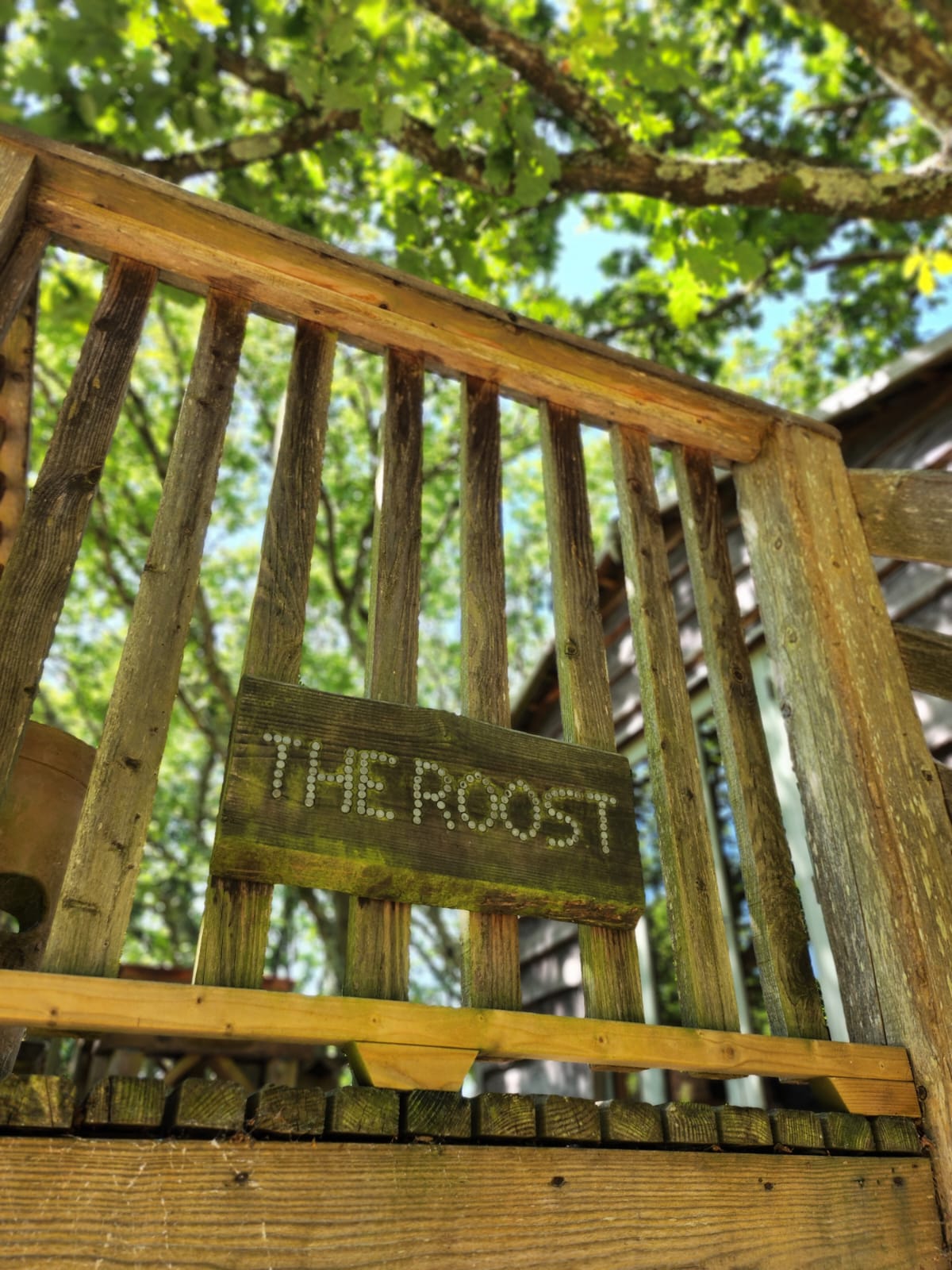 Summer at Into the Woods — photo 5