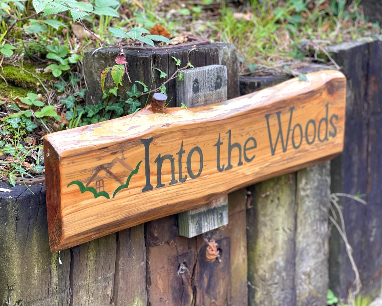 Into the Woods — photo 6