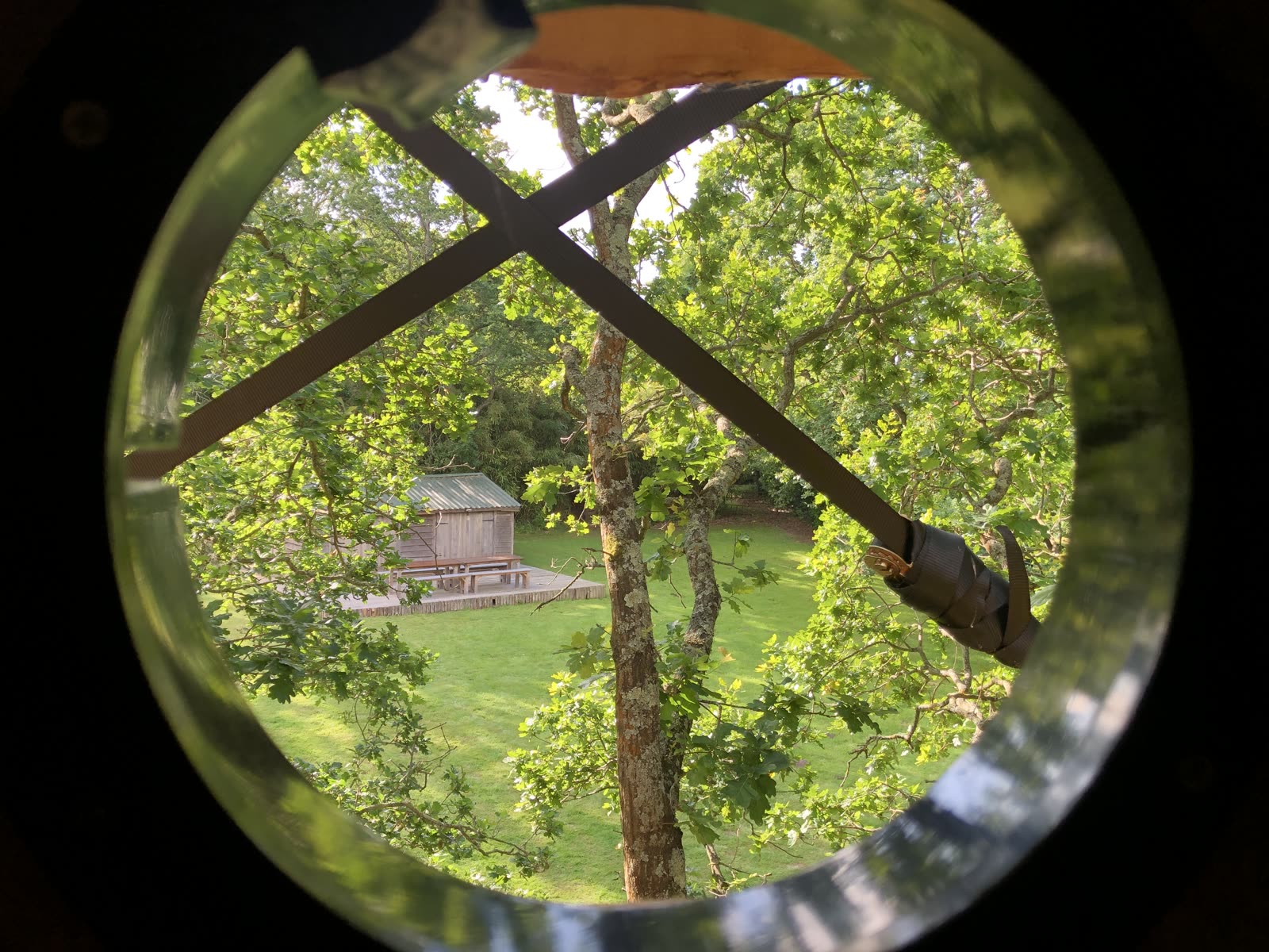 The Nest Treehouse — photo 5