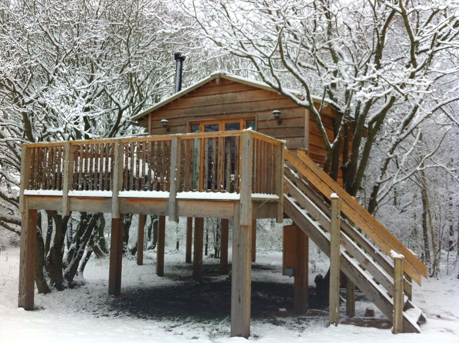 The Roost Treehouse — photo 7