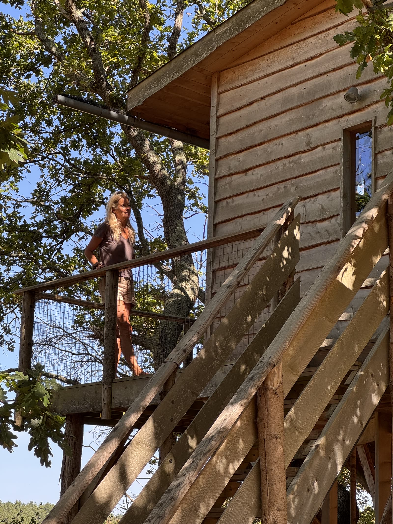 The Nest Treehouse — photo 29