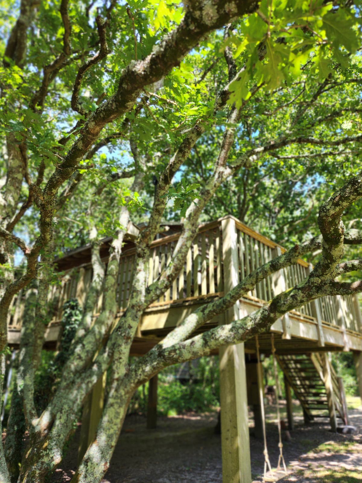 The Roost Treehouse — photo 26