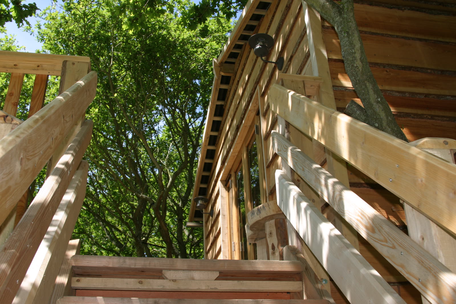 The Roost Treehouse — photo 5