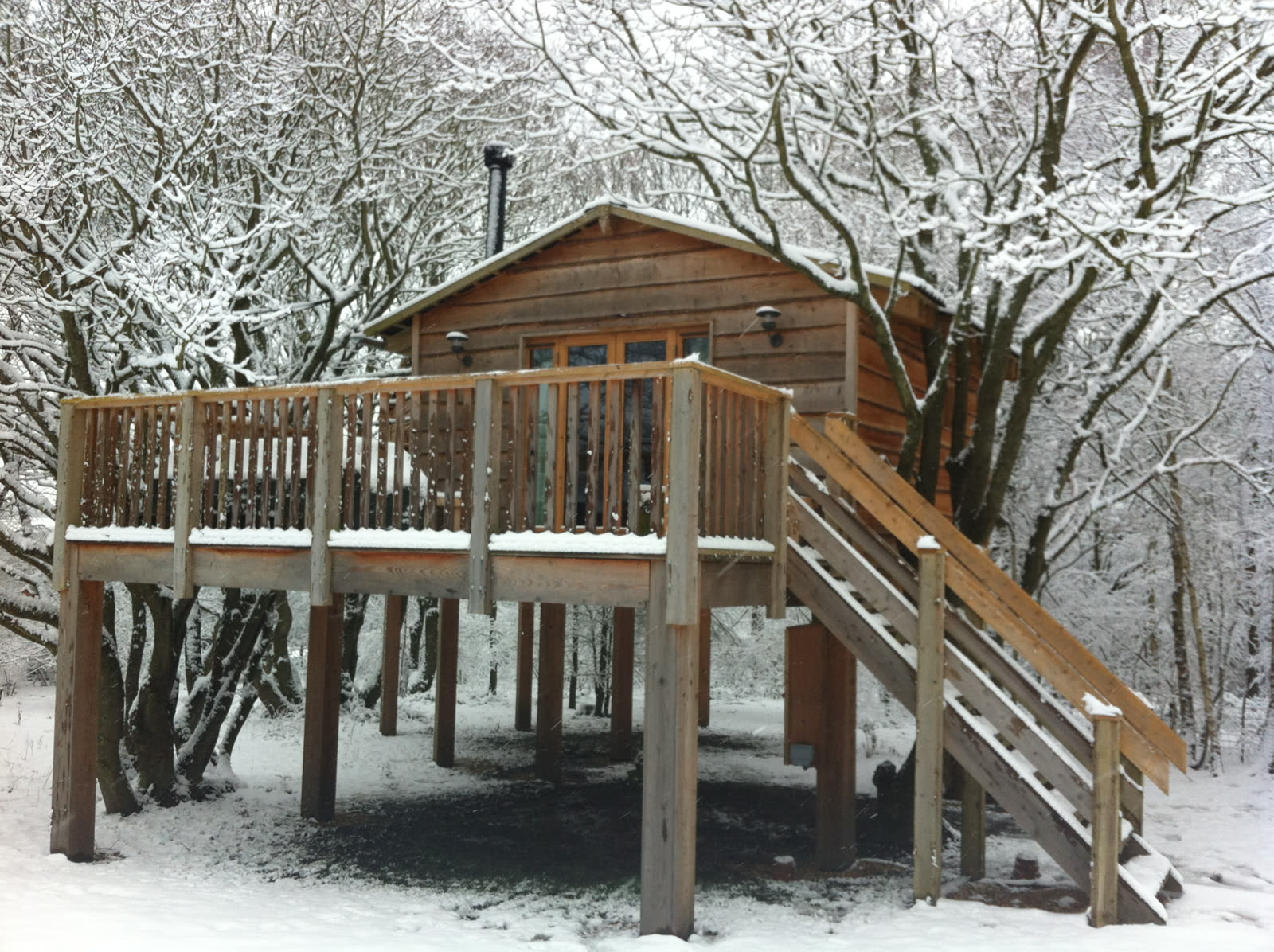 Treehouse on stilts in the snow