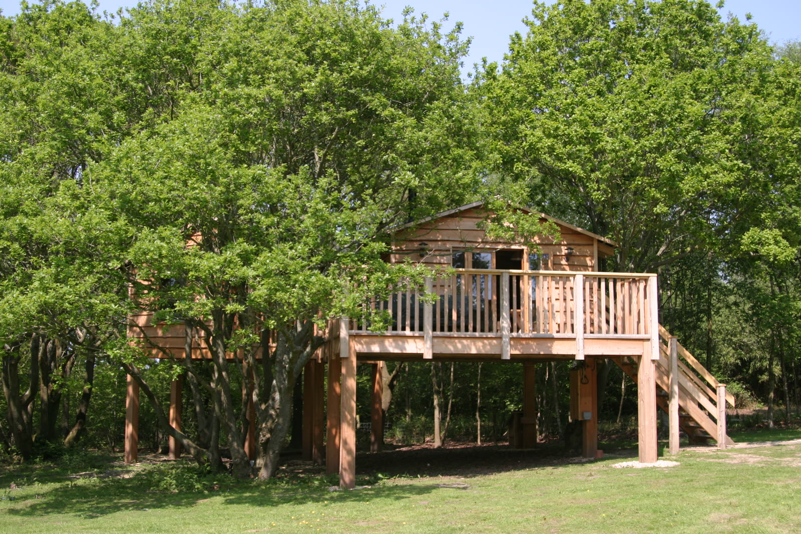 The Roost Treehouse — photo 3