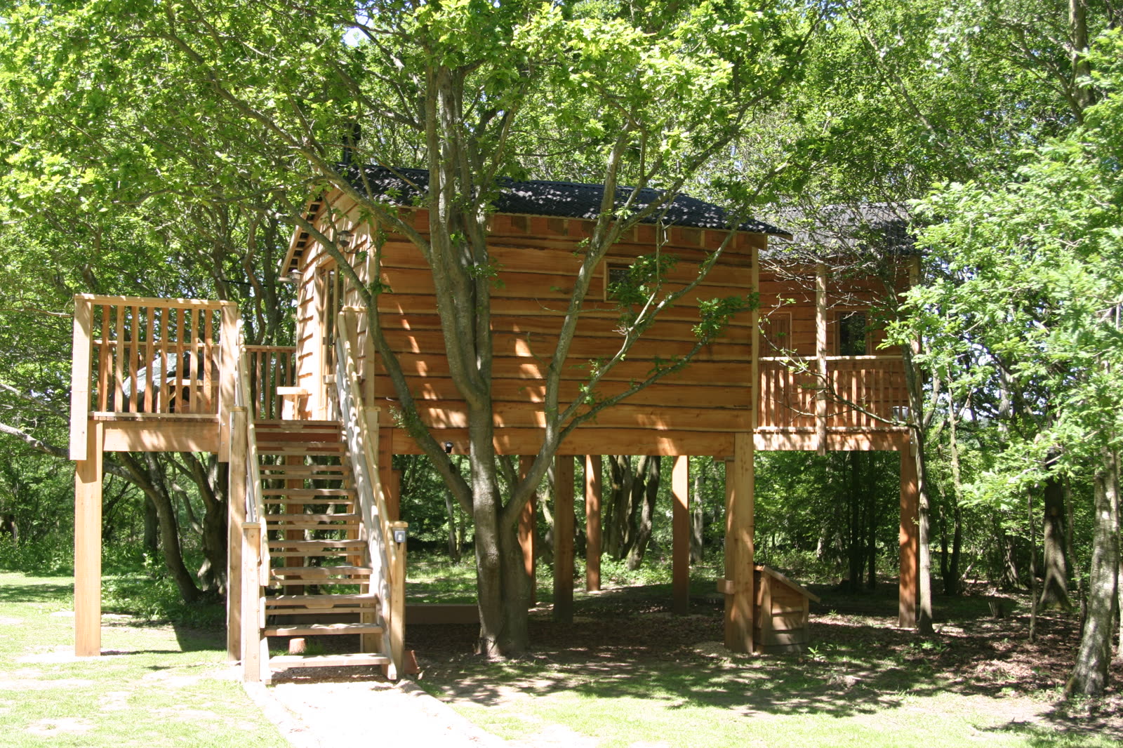 The Roost Treehouse — photo 4