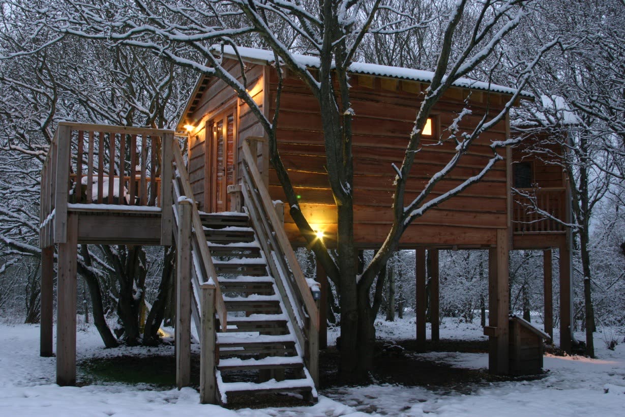 Treehouse in the snow at dusk