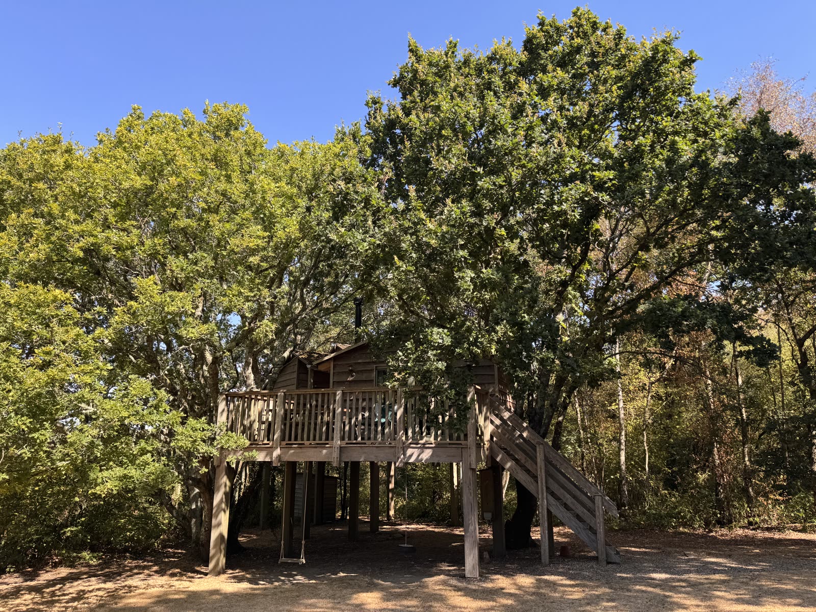 The Roost Treehouse — photo 20