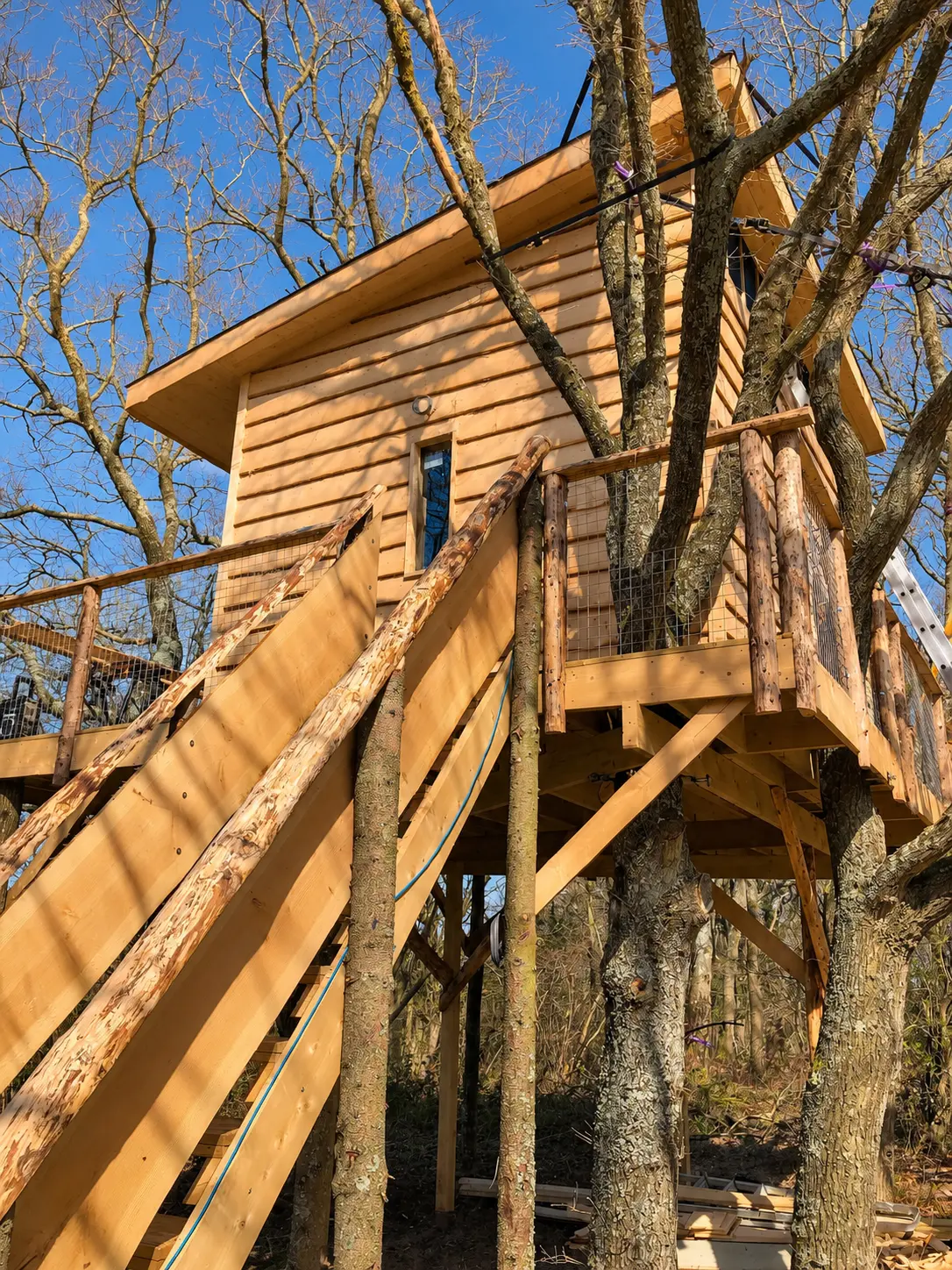 The Nest