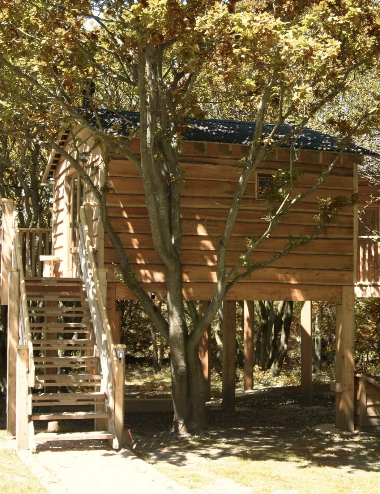 Autumn at Into the Woods — photo 2