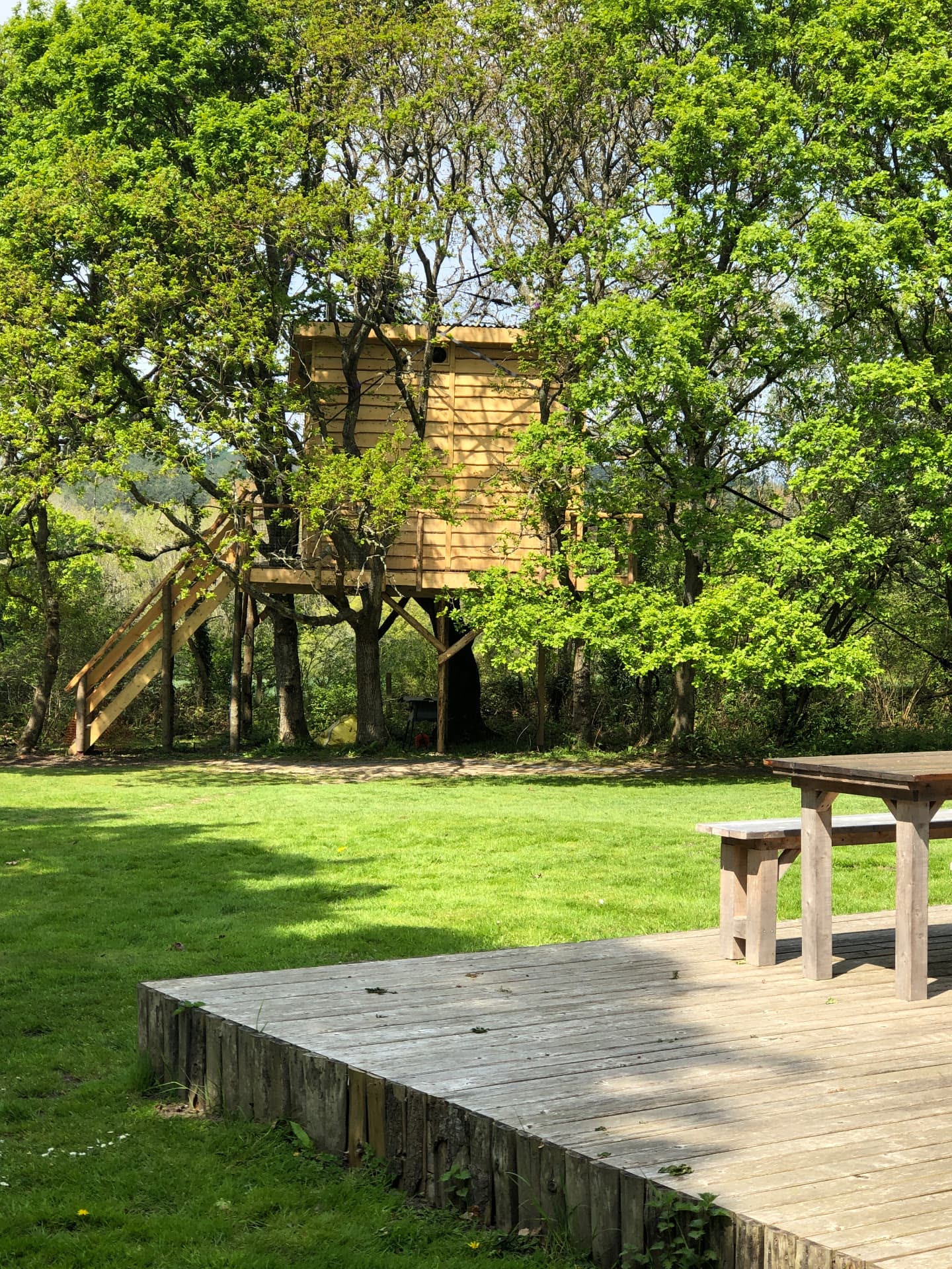 Spring at Into the Woods — photo 7