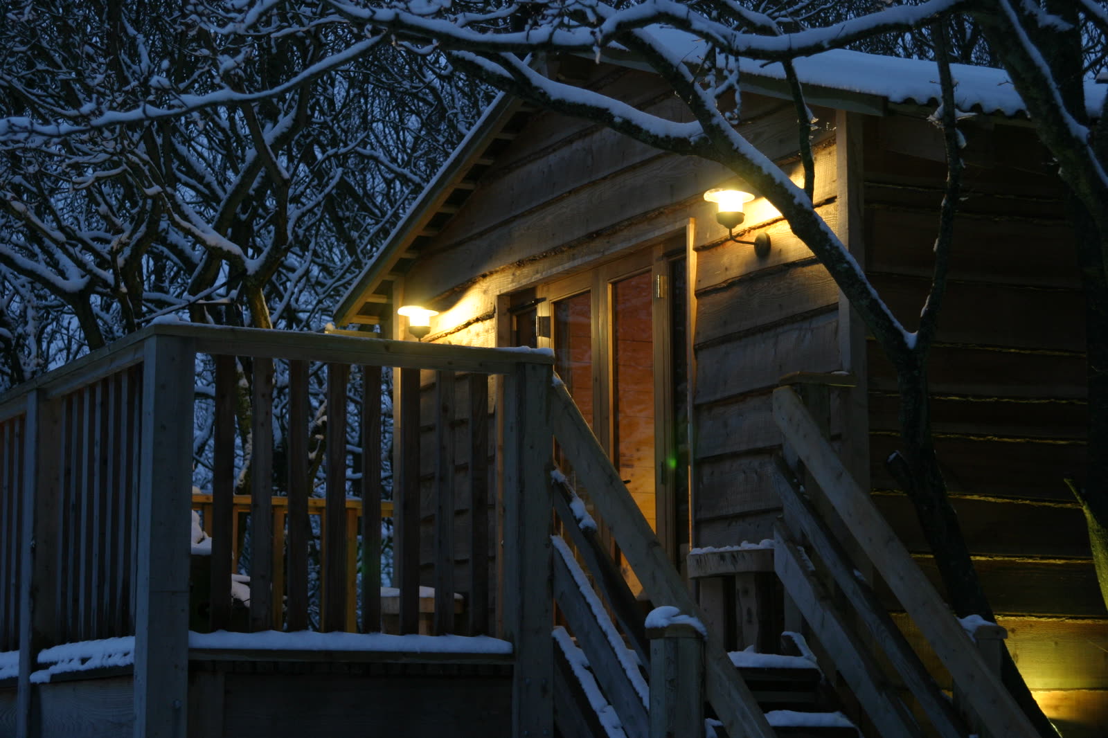 The Roost Treehouse — photo 8