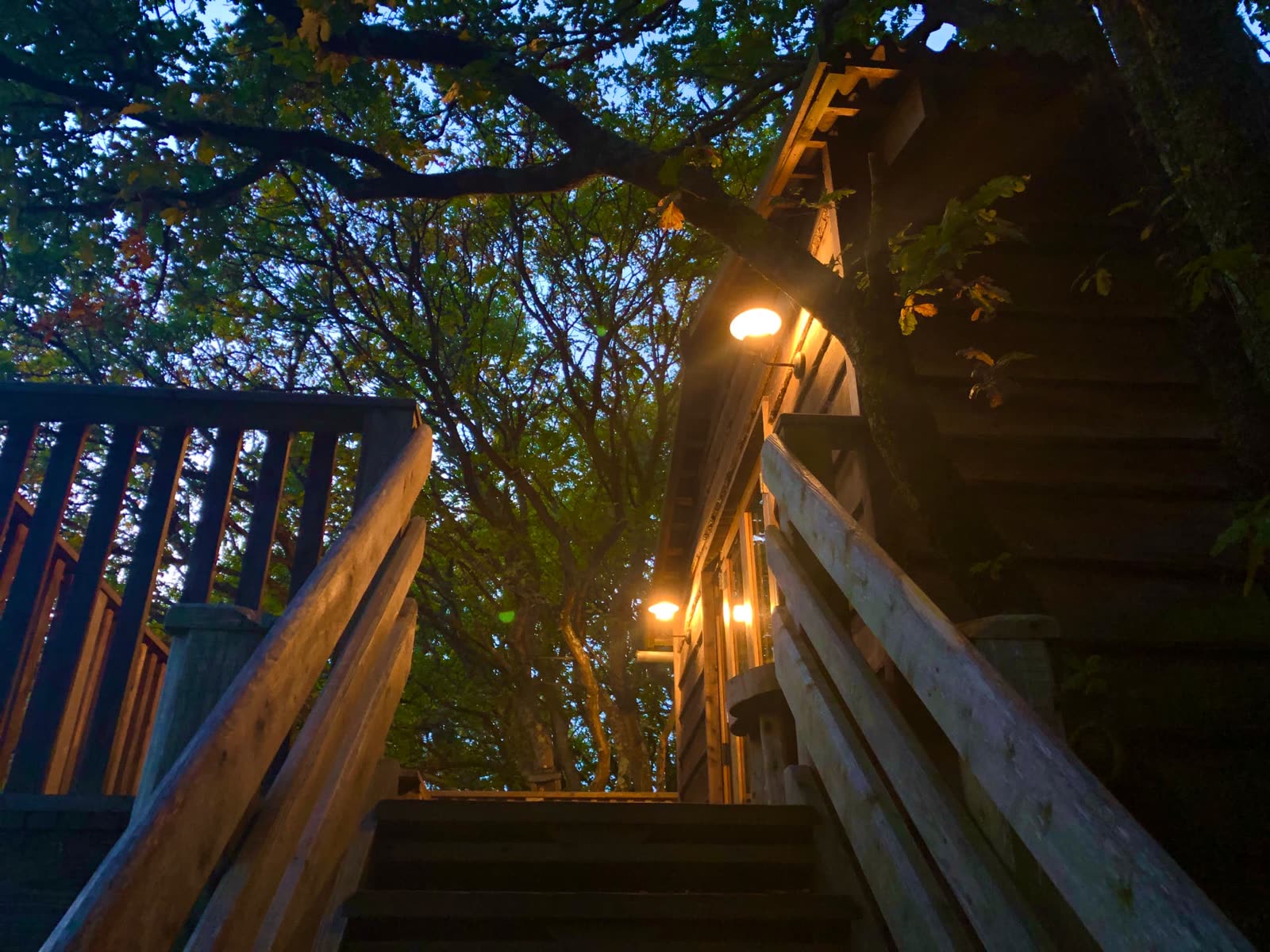Autumn at Into the Woods — photo 7