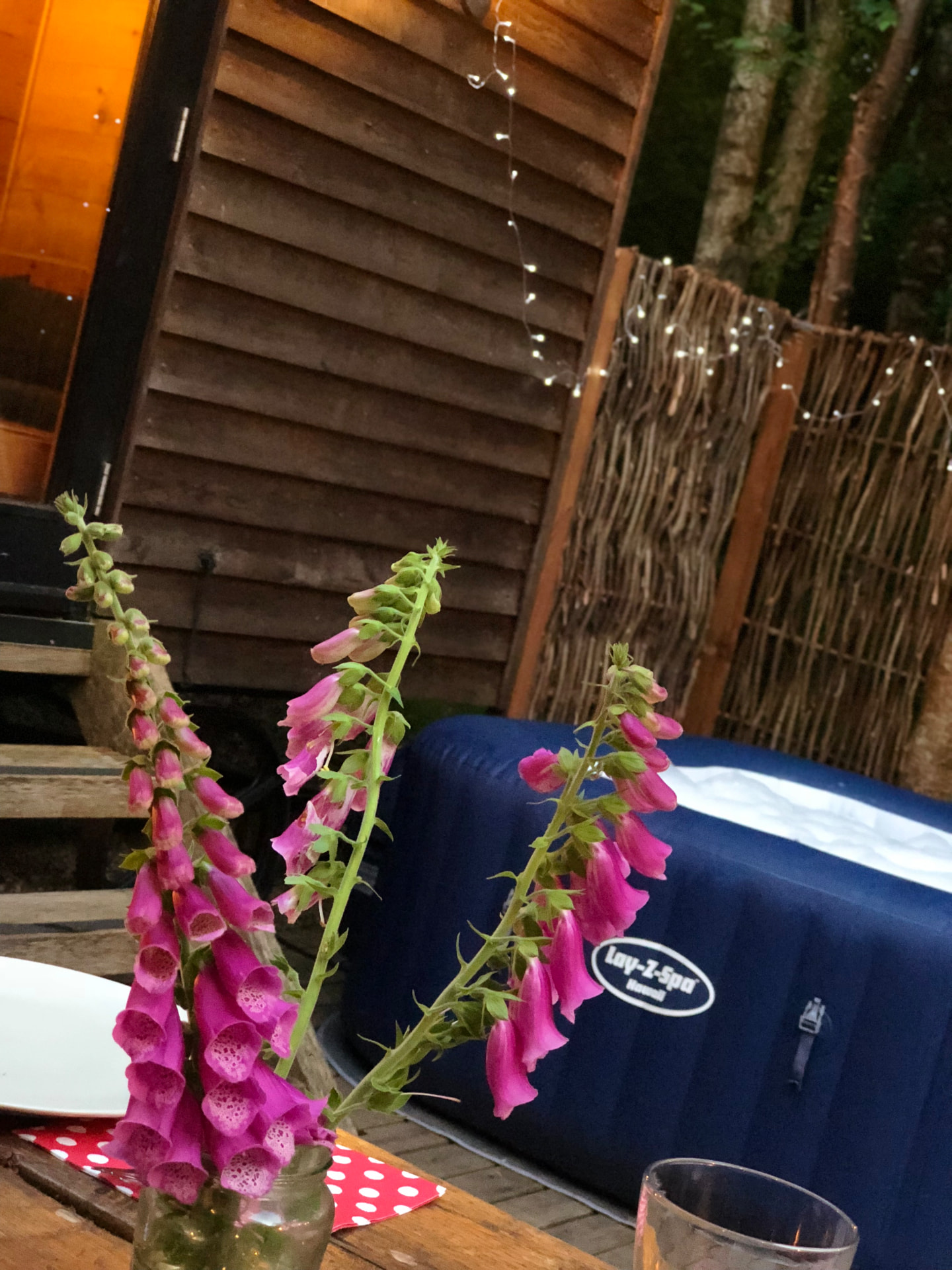 The hot tub on the deck at dusk, framed by pink foxgloves