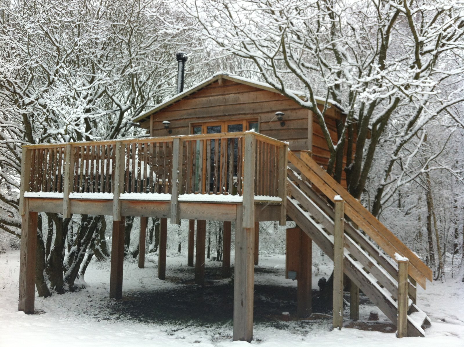 The treehouse deck and stairs in a snowy woodland