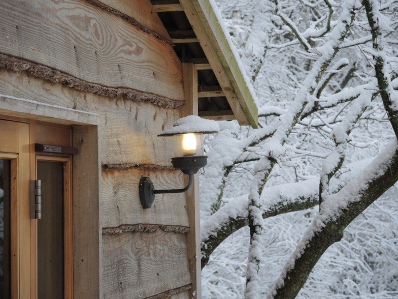 A treehouse doorway surrounded by snow-covered branches