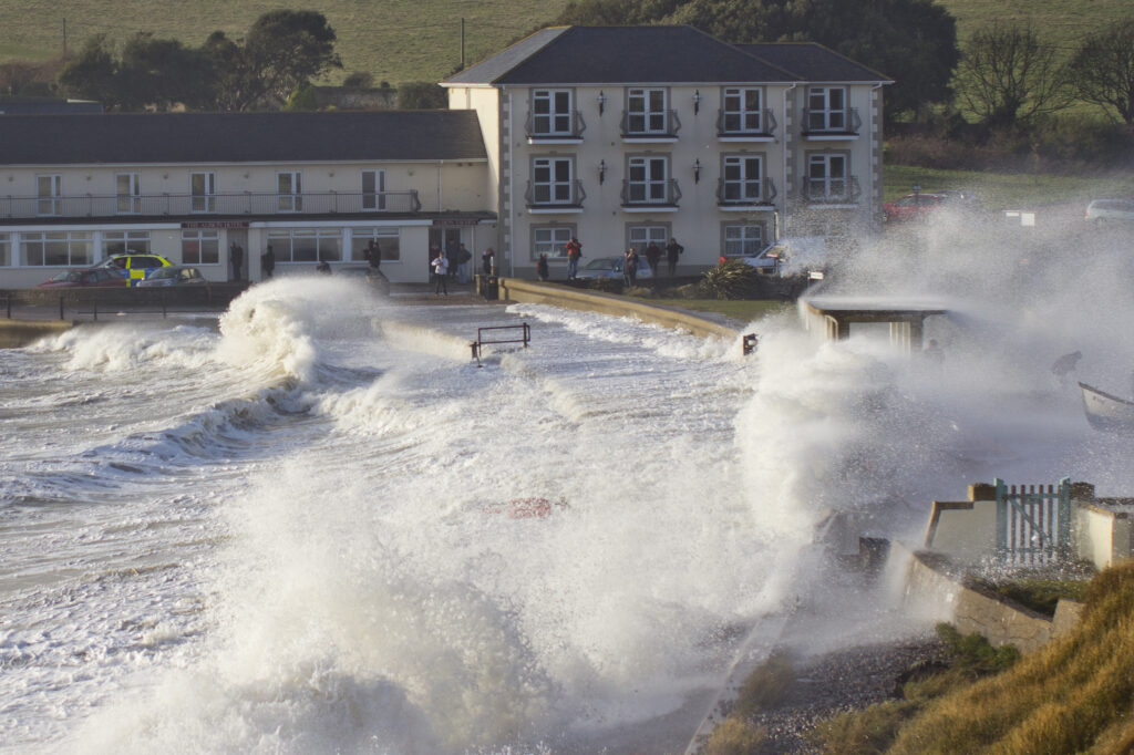 11801879975 9c19646951 3k