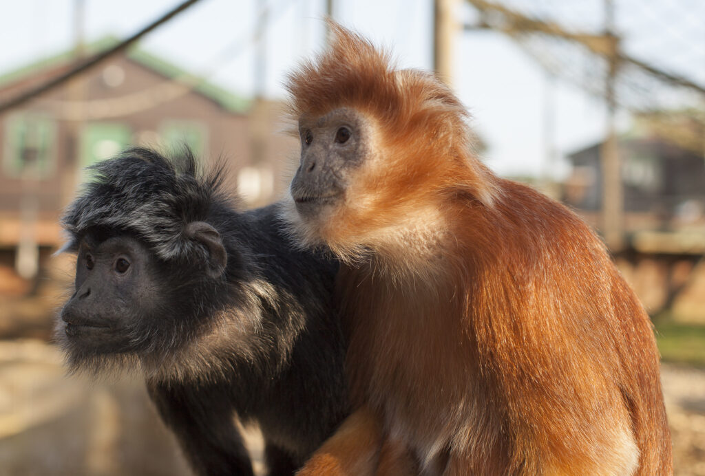 22277648971 f35436c449 5k