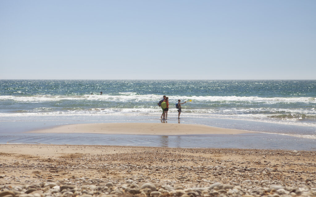 28586253165 b514b9708f 5k