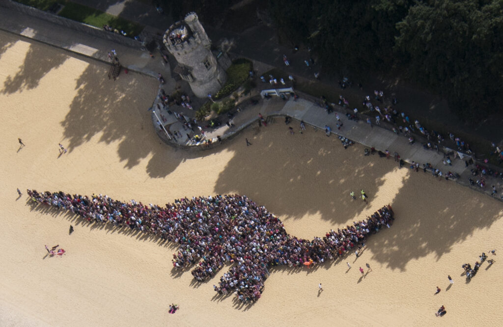 9647104021 df25783a99 h