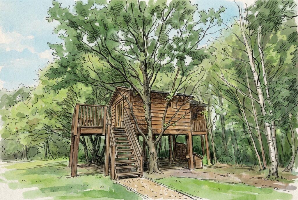 Roost treehouse drawing