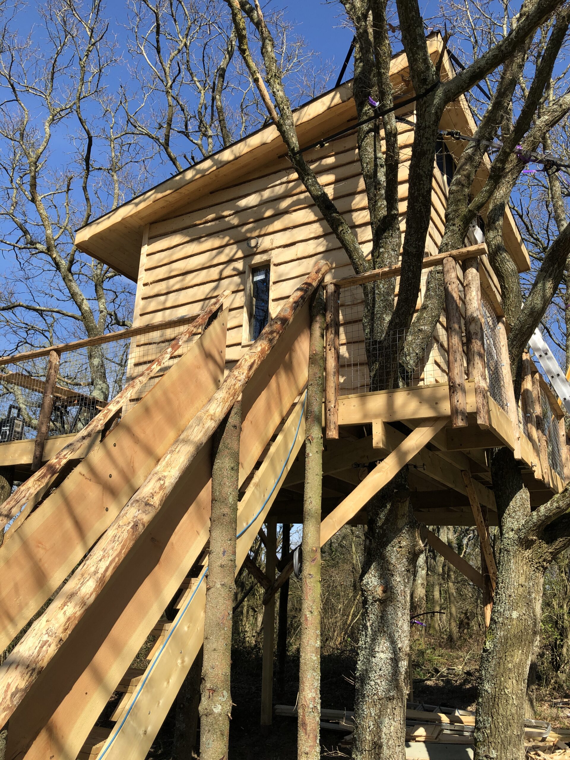 Home Nest treehouse