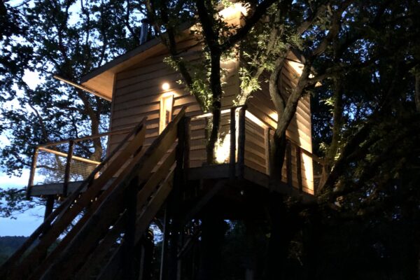 The Nest IMG 0657 Scaled 600x400