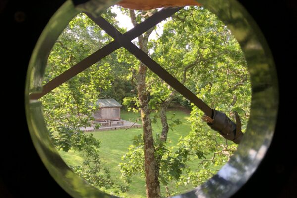 The Nest IMG 0679 Scaled 600x400