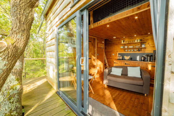 The Nest IMG 3872 Scaled 600x400