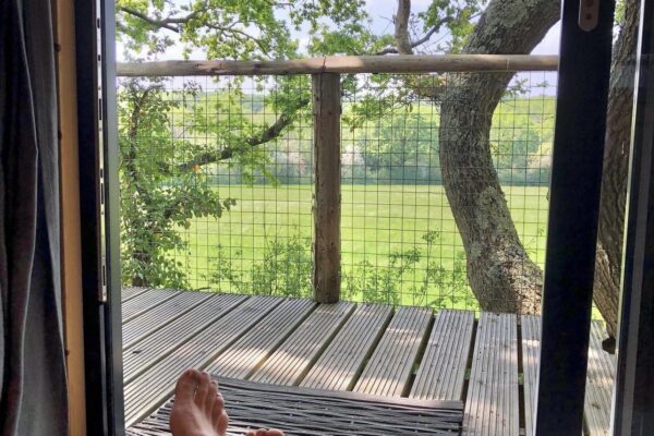 The Nest IMG 3985 600x400