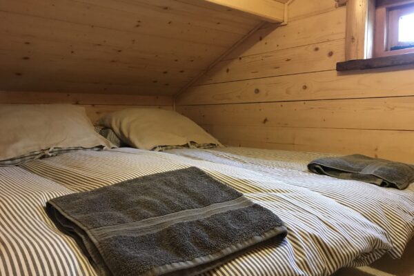 IMG 7426 Scaled 600x400