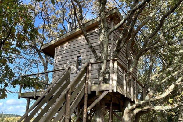 The Nest 07C2858C F1FA 4270 9D3A 5290331428E9 Edited Scaled 600x400