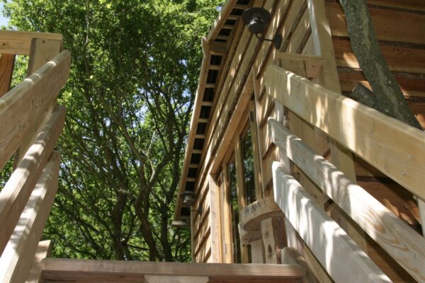 IMG 6046 Edited Scaled 600x400