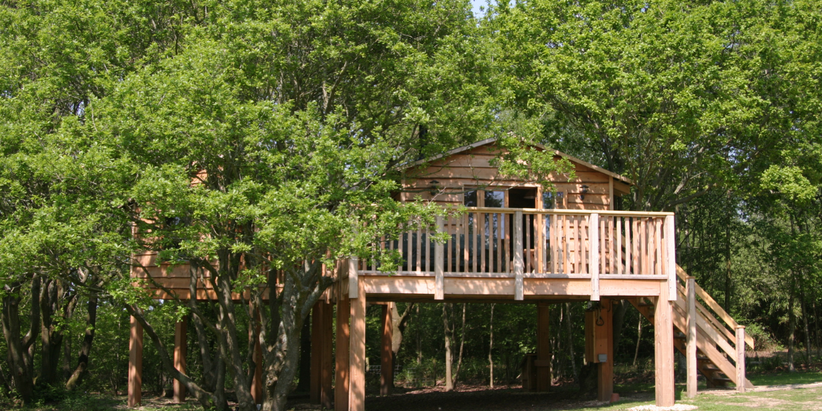 the roost header page