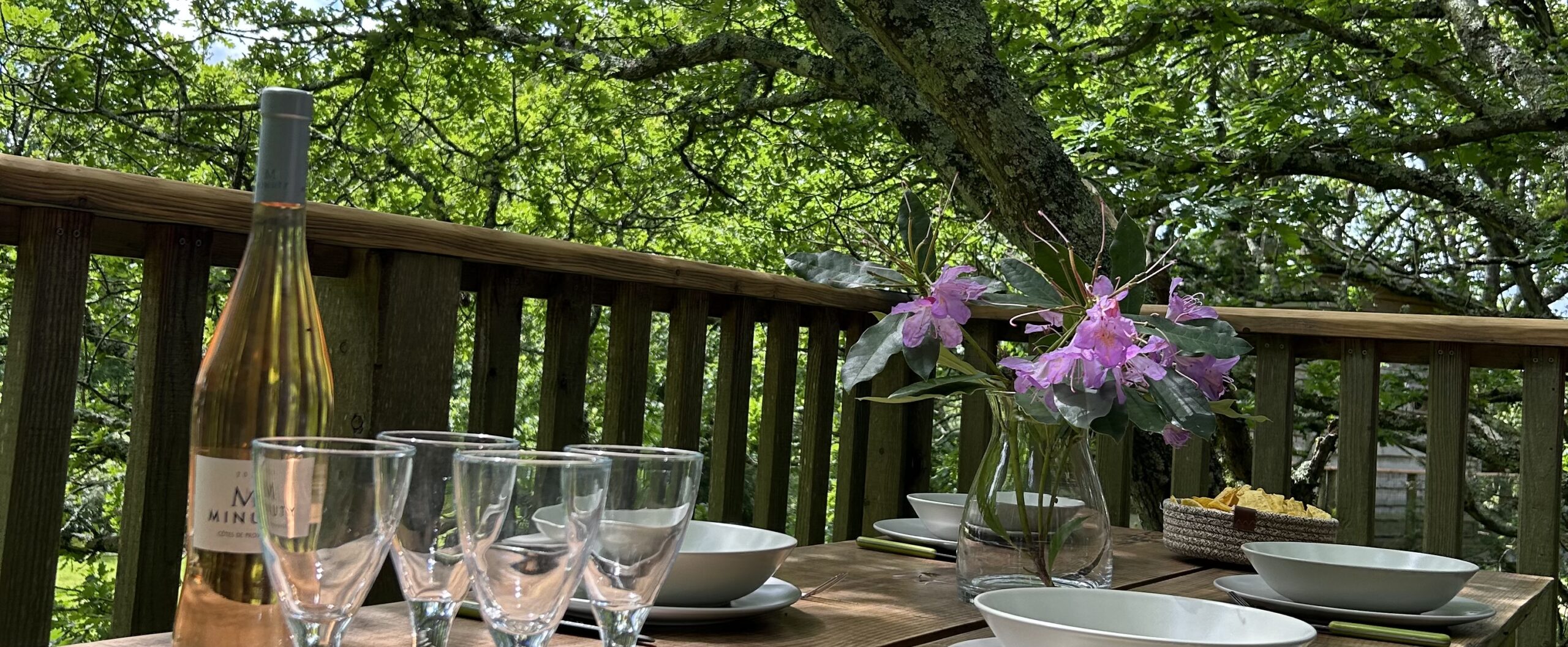 81c349da e8a2 4d8a 97fc bb9150e084b7 1 201 a