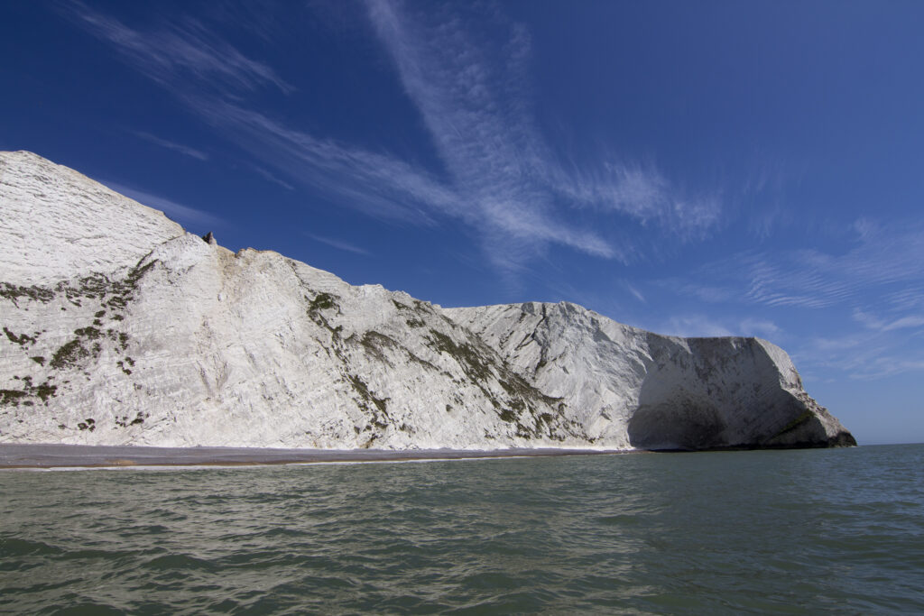 8680491526 e157f81a0f 5k